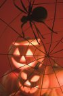 Kürbislaternen und Spinnen im Netz — Stockfoto