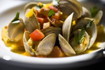 Clams with Chopped Bell Peppers in white plate — Stock Photo