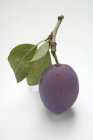 Plum with stalk and leaves — Stock Photo
