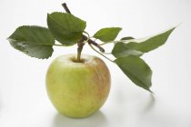 Яблоко со стеблем и листьями — стоковое фото