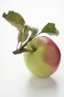 Червоне і зелене яблуко зі стеблом — стокове фото