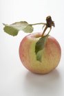 Червоне яблуко зі стеблом — стокове фото