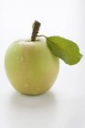 Зеленое яблоко со стеблем — стоковое фото