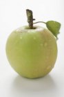 Зеленое яблоко со стеблем — стоковое фото