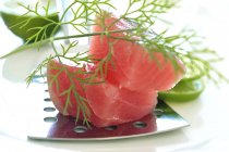 Fresh tuna fillet — Stock Photo