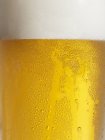 Verre de bière à condensation — Photo de stock