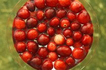Cranberries Floating in Water — Stock Photo