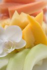 Nahaufnahme von frischem Obst und Orchidee — Stockfoto