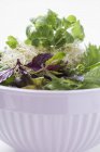 Raízes, plantas aromáticas e folhas de salada — Fotografia de Stock