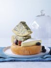 Various cheeses on platter — Stock Photo