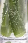 Feuilles d'aloe vera dans un verre d'eau — Photo de stock