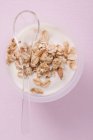 Yogurt con cereali in tazza — Foto stock