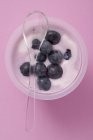 Черничный йогурт в горшочке — стоковое фото