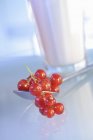 Glass of milk with redcurrants — Stock Photo