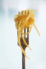 Espaguetis cocidos en tenedor - foto de stock