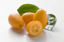 Kumquats mit Blättern und Wassertropfen — Stockfoto
