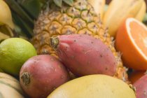 Verschiedene exotische Früchte — Stockfoto
