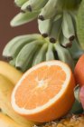 Frutta esotica assortita — Foto stock