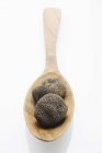Black truffles on wooden spoon — Stock Photo