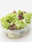 Folhas de salada mista — Fotografia de Stock