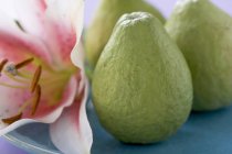 Fresh guavas on plate with orchid — Stock Photo