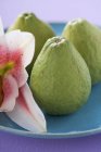 Frische Guaven auf Teller mit Orchidee — Stockfoto