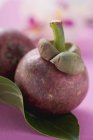 Mangostões maduros frescos — Fotografia de Stock