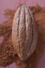 Fruta del cacao en polvo - foto de stock