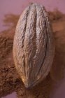 Kakaofrüchte auf Pulver — Stockfoto