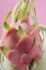 Pitahaya rosa fresco - foto de stock
