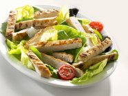 Salade avec des lanières de poulet — Photo de stock