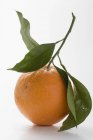 Orange mit Stiel und Blättern — Stockfoto