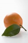 Orange with stalk and leaf — Stock Photo