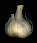 Bulbo di aglio fresco — Foto stock
