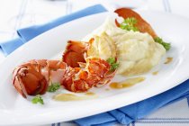 Lobster with mashed potato on white plate over blue towel — Stock Photo