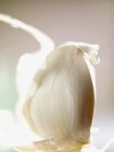 Clove of garlic with skin — Stock Photo