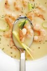 Prawn soup with leeks and dill  and spoon — Stock Photo