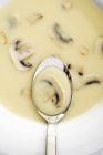 Cream of mushroom soup in spoon and bowl — Stock Photo