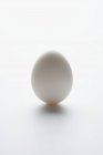 Целое белое яйцо — стоковое фото