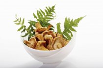 Chanterelles with fern fronds in white bowl — Stock Photo