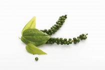 Closeup view of clusters of green peppercorns with leaves — Stock Photo