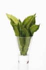 Fresh winged beans in glass — Stock Photo
