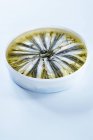 Олово маринованных сардин — стоковое фото