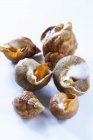 Sei lumache di mare fresco sulla superficie bianca — Foto stock