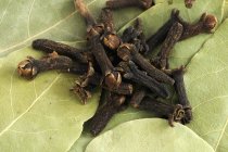 Chiodi di garofano sulle foglie di alloro — Foto stock