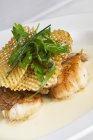 Морские гребешки в сливочном соусе с вафельным хрустом и кинзой на белой тарелке — стоковое фото