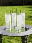 Cocktails with blades of grass — Stock Photo