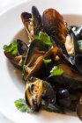 Steamed Mussels with Parsley — Stock Photo