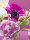 Vista close-up de diferentes flores em vaso — Fotografia de Stock