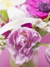 Vista de cerca de flores rosadas de Pascua con palabras de paques Joyeuses en cinta blanca - foto de stock
